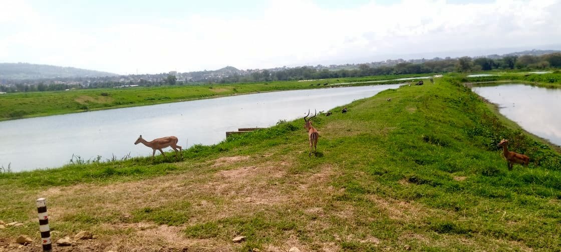 Secondary School Trip to Lake Nakuru National Park – A Day with Nature and Discovery 2